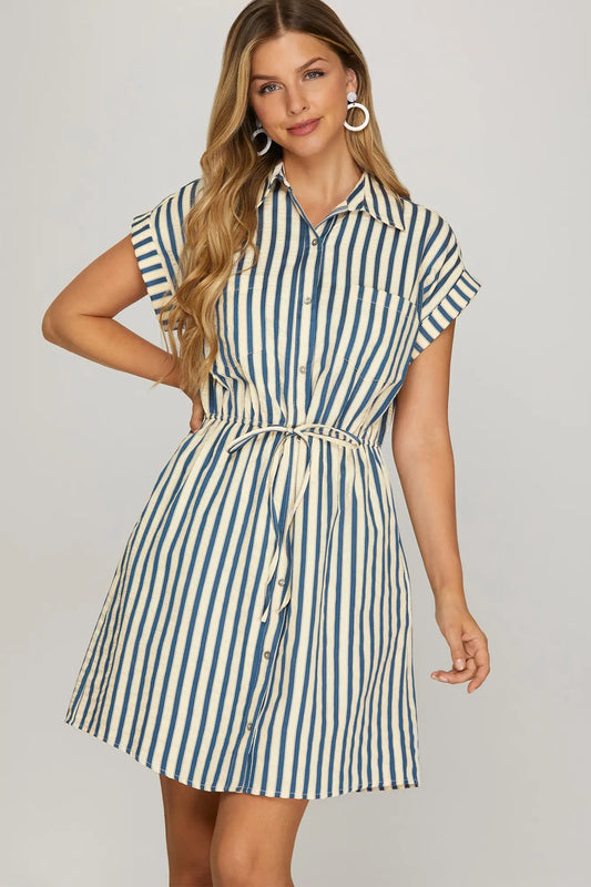 Navy Striped Collared Mini Dress