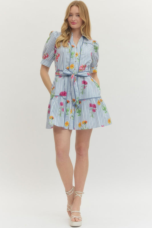 Blue Floral Stripe Print Mini Dress