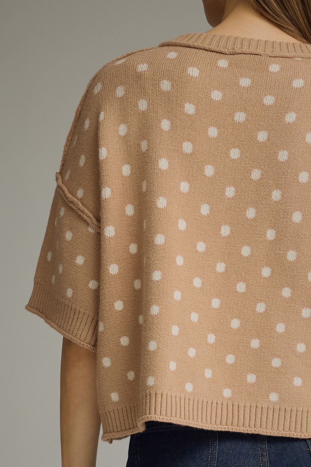 Polka Dot Round Neck Short Sleeve Sweater