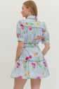 Blue Floral Stripe Print Mini Dress