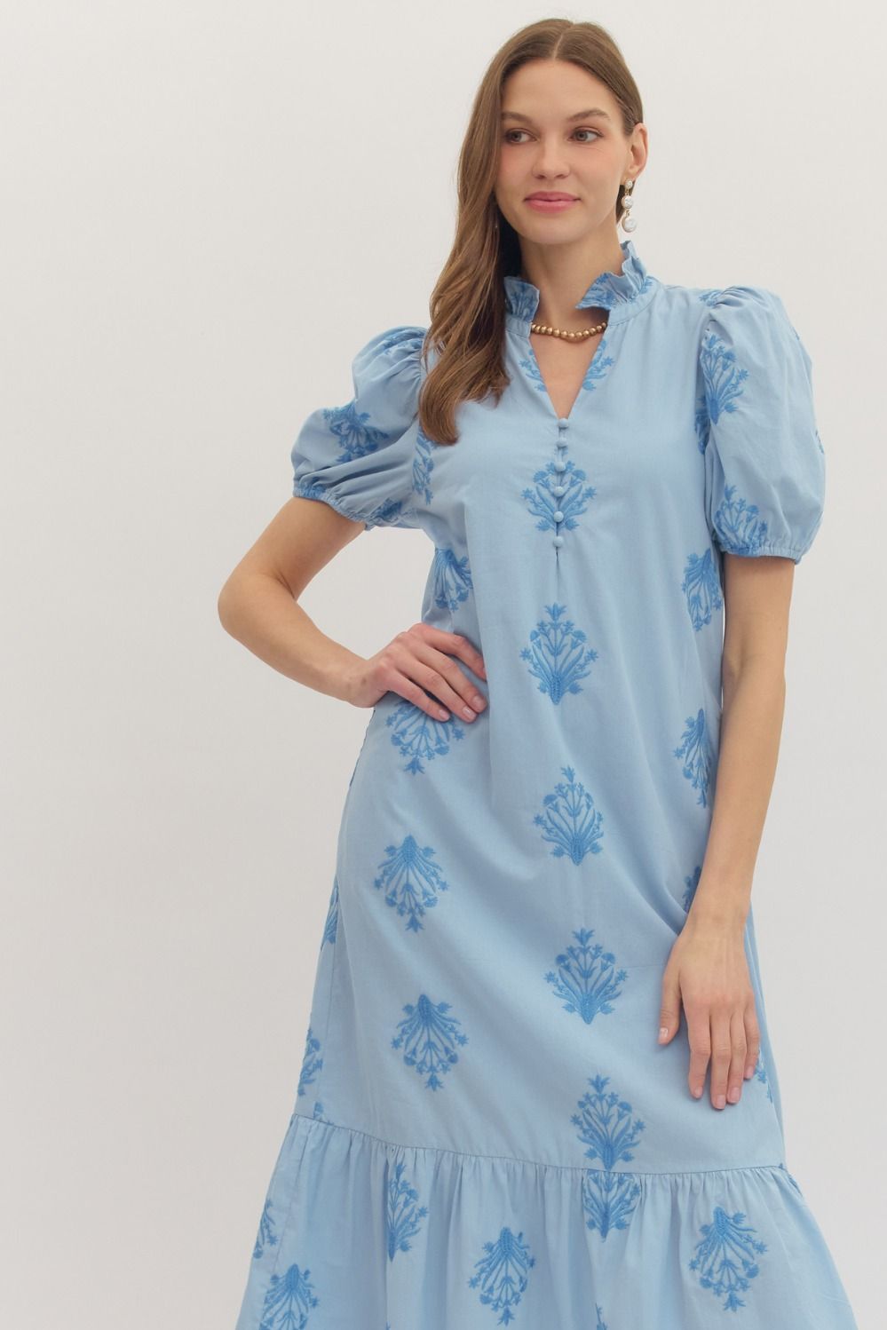 Botanical Embroidery Puff Sleeve Midi