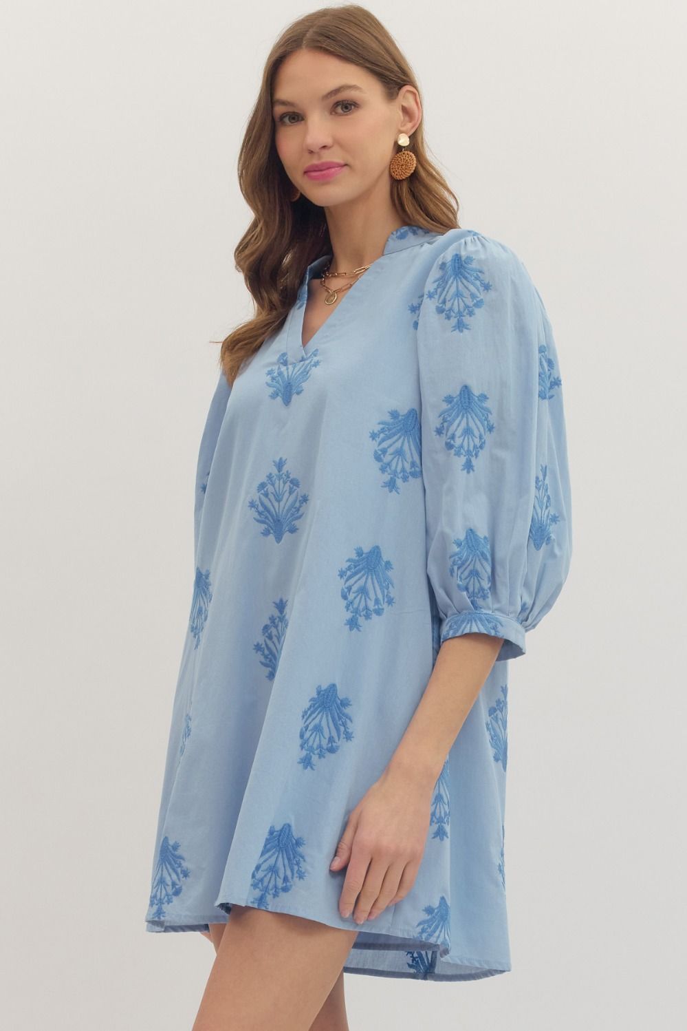 Embroidered 3/4 Puff Sleeve Mini Dress
