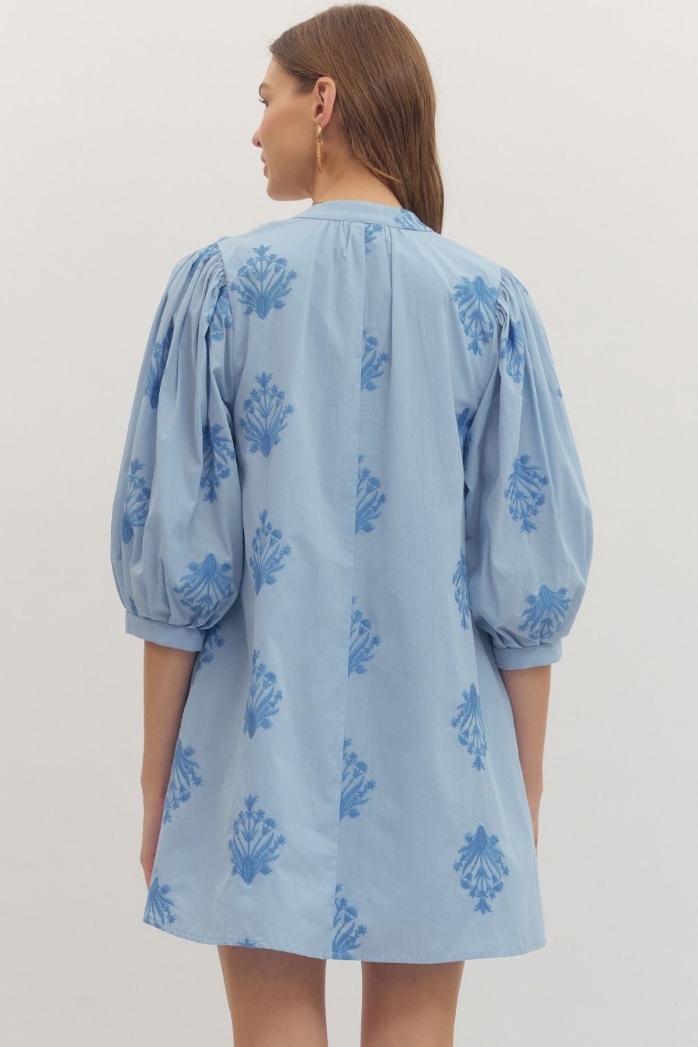 Embroidered 3/4 Puff Sleeve Mini Dress