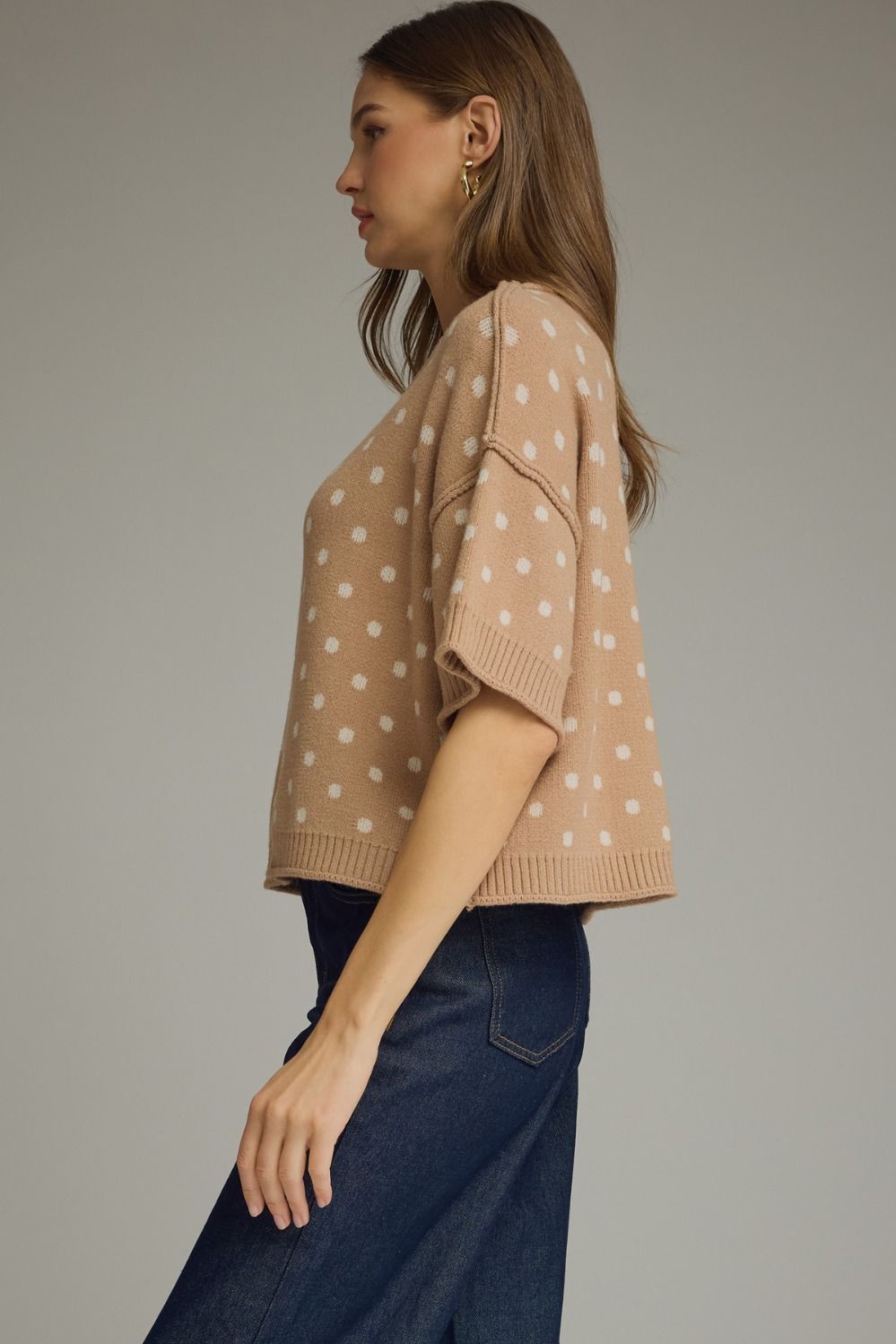 Polka Dot Round Neck Short Sleeve Sweater