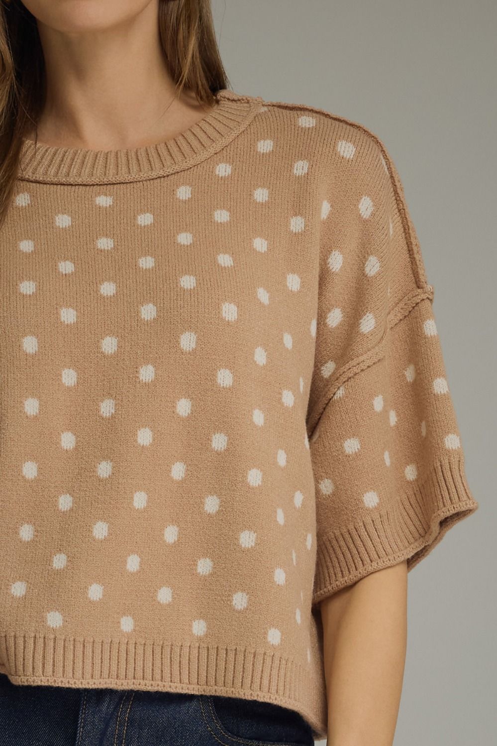Polka Dot Round Neck Short Sleeve Sweater